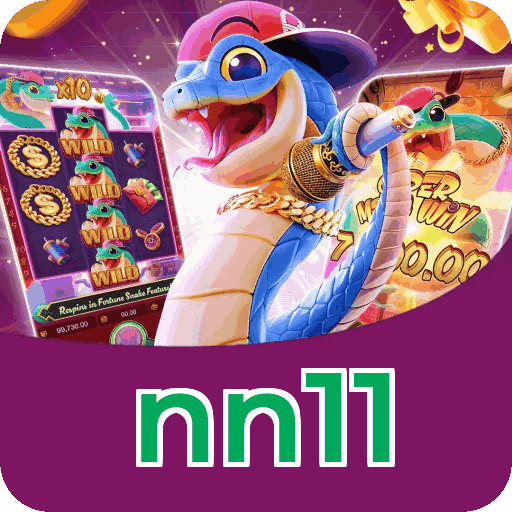 nn11